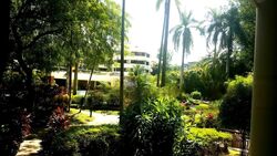 Sutton Place (D10), Condominium #484652661